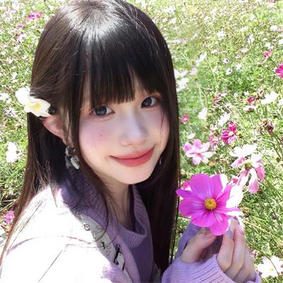 胡桃夹子和四个王国